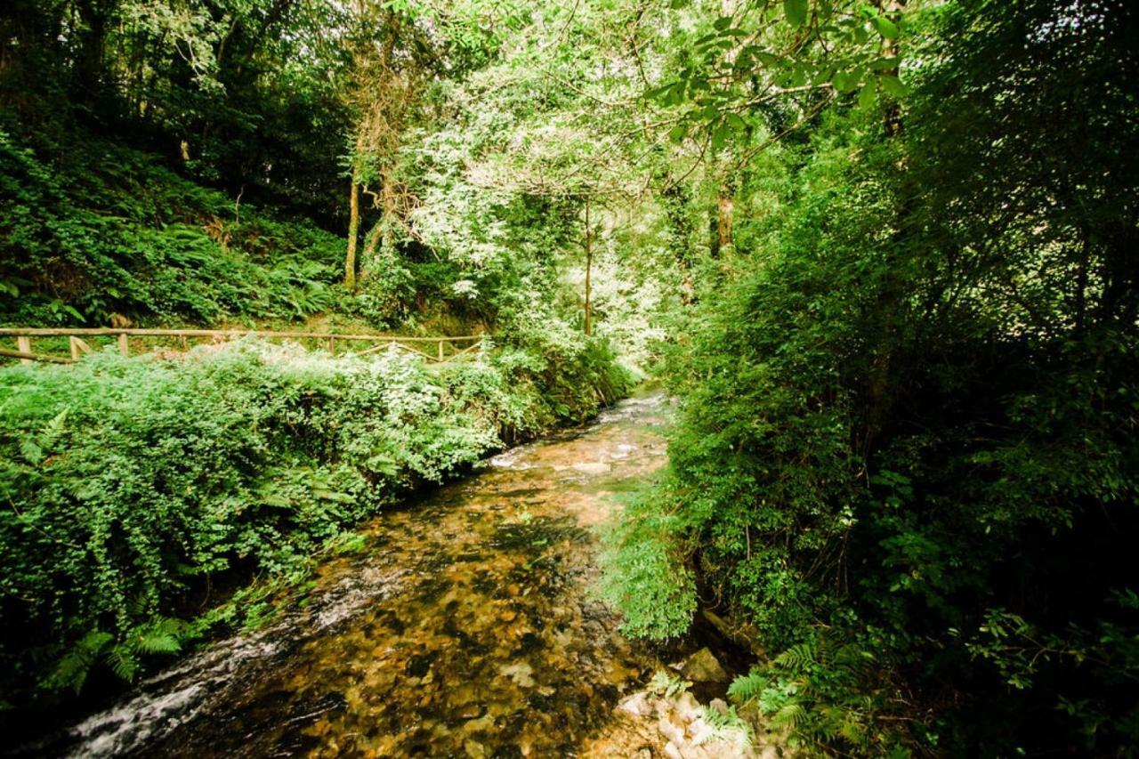 Apartmán Casa Calma Rural Taramundi Exteriér fotografie